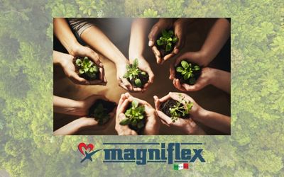 Magniflex blog 1